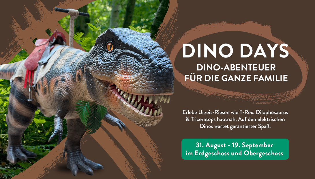 MC dinodays slider homepage final 2