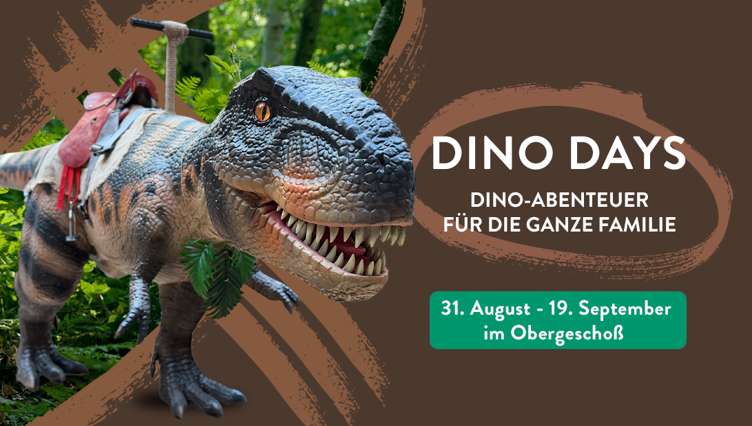 MC dinodays slider homepage final